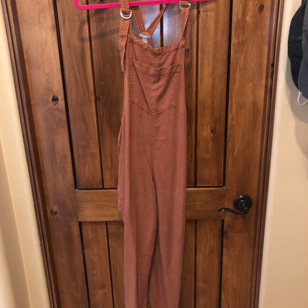 Aerie Overalls